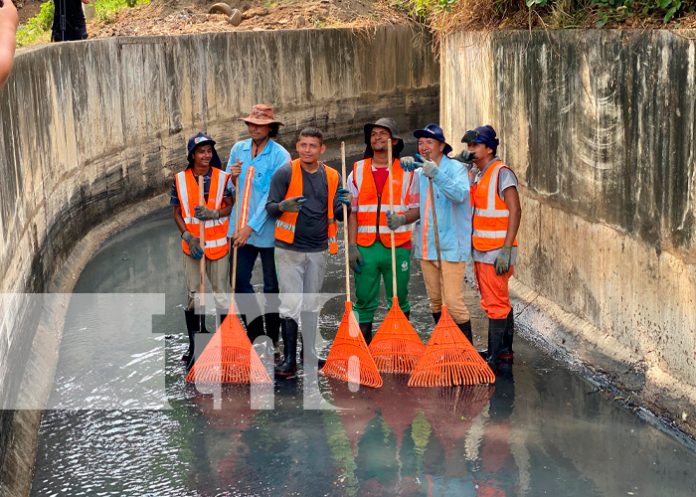 1 Foto: Limpiando Managua /cortesía