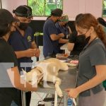 Foto: Éxito en jornada de la UCN /cortesía