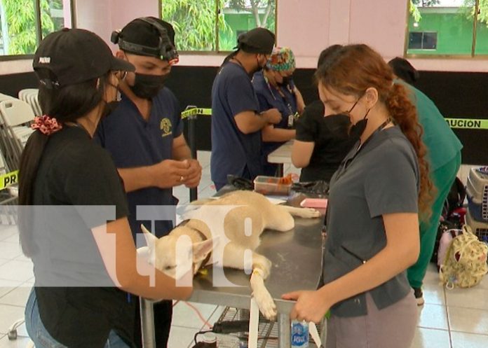 Foto: Éxito en jornada de la UCN /cortesía