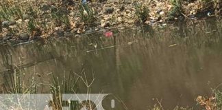 Foto: Tragedia en Estelí: Adolescente pierde la vida tras ahogarse en una poza/TN8
