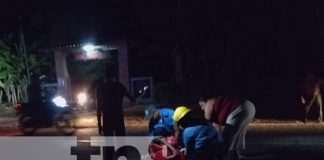 Foto: "Chancho" manda al hospital a motociclista y acompañante en Ometepe/TN8