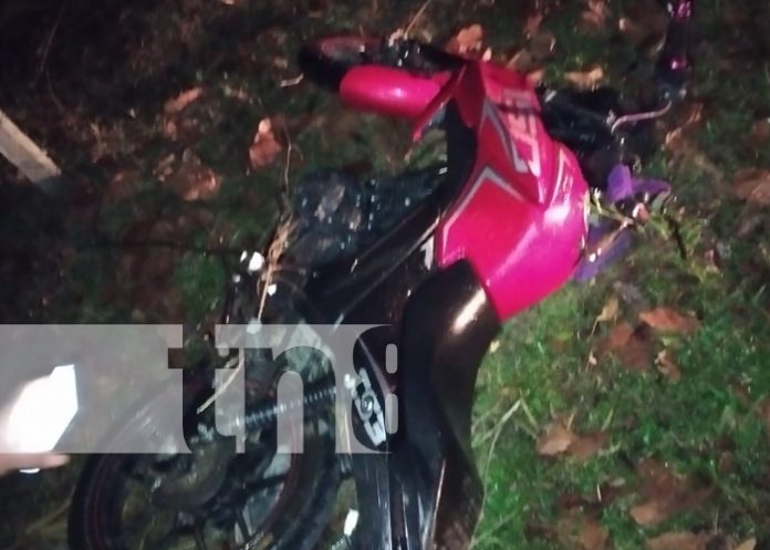 1 Foto: Tragedia en Rancho Grande: Motociclista pierde la vida en accidente de tránsito/TN8
