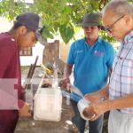 Diriomo: Potencializan los bloques nutricionales para una mejor producción de leche y carne Foto: Diriomo: Potencializan los bloques nutricionales para una mejor producción de leche y carne/TN8