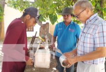 Diriomo: Potencializan los bloques nutricionales para una mejor producción de leche y carne Foto: Diriomo: Potencializan los bloques nutricionales para una mejor producción de leche y carne/TN8