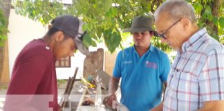 Foto: Diriomo: Potencializan los bloques nutricionales para una mejor producción de leche y carne/TN8