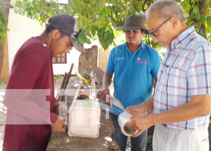 2 Foto: Diriomo: Potencializan los bloques nutricionales para una mejor producción de leche y carne/TN8