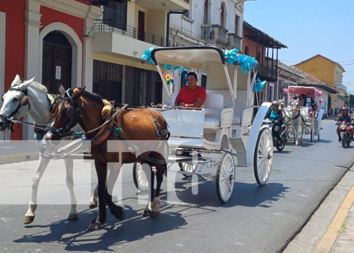 2 Foto: Granada se prepara con atractiva oferta turística para la semana mayor/TN8