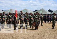 Foto: Ejército de Nicaragua realizó el cierre de la cosecha cafetalera 2023-2024/TN8