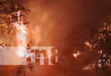 Incendio catastrófico arrasa con una recicladora en el municipio de Tipitapa Foto: Incendio catastrófico arrasa con una recicladora en el municipio de Tipitapa/TN8