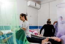 Foto: Brasil, Argentina y Uruguay afectados por dengue /cortesía