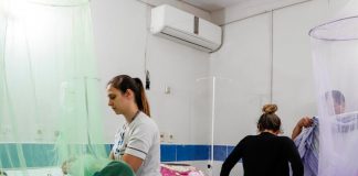 Foto: Brasil, Argentina y Uruguay afectados por dengue /cortesía