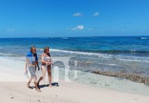 ¡Amplia variedad de destinos turísticos hace del Caribe Sur un destino por excelencia! Foto: ¡Amplia variedad de destinos turísticos hace del Caribe Sur un destino por excelencia!/TN8