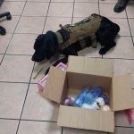 Usaban candelas para traficar cocaína a Europa desde Costa Rica