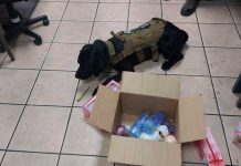 Usaban candelas para traficar cocaína a Europa desde Costa Rica