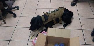 Usaban candelas para traficar cocaína a Europa desde Costa Rica