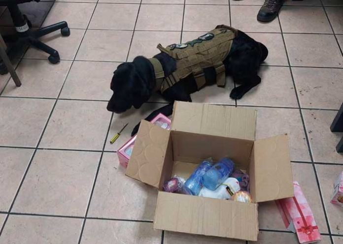 2 Usaban candelas para traficar cocaína a Europa desde Costa Rica