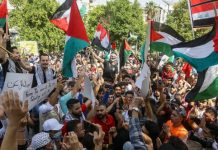 Hamás hace un llamado urgente a la acción global en el Día de la Tierra Palestina Foto:Hamás hace un llamado urgente a la acción global en el Día de la Tierra Palestina/Cortesía