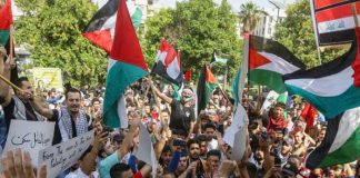 Foto:Hamás hace un llamado urgente a la acción global en el Día de la Tierra Palestina/Cortesía