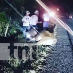 Un motociclista fallecido y un lesionado al impactar contra un semoviente en Nueva Segovia Foto: Un motociclista fallecido y otro lesionado al impactar contra un semoviente en Nueva Segovia/TN8