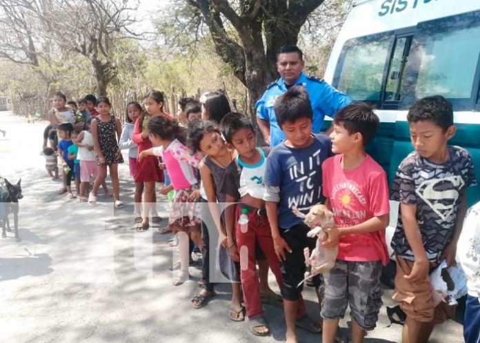 Foto: Sistema Penitenciario de Granada realiza Feria de Atención Veterinaria / TN8