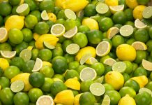 Foto: Secretos del Limón revelado /cortesía