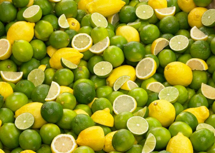 Foto: Secretos del Limón revelado /cortesía