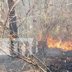 Incendio consume 10 manzanas de superficie en una propiedad en Granada Incendio consume 10 manzanas de superficie en una propiedad en Granada