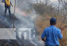 Aumento preocupante de incendios forestales en Boaco y Teustepe Foto: Aumento preocupante de incendios forestales en Boaco y Teustepe/TN8