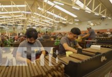 Pensa: El segundo mejor puro del mundo está en Estelí