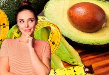 El impacto del consumo diario de aguacate en la salud y la alimentación