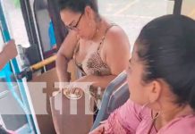 Apuñalada termina al impedir que un amigo de lo ajeno le arrebatara el celular Apuñalada en robo de celular mientras miraba TikTok