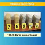 Fuerte operativo en Bilwi: Policía Nacional confisca más de 100 libras de Marihuana “En el registro a la vivienda se detectaron dos bolsas color negro conteniendo 11 paquetes"; dijo el comisionado general de Bilwi