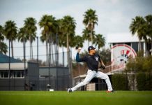 Loáisiga: «Me sentí saludable al ejecutar mis pitcheos» yankees, mlb, grandes, ligas, jonathan, loáisiga,