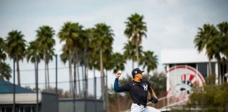yankees, mlb, grandes, ligas, jonathan, loáisiga,
