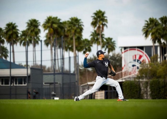 Yankees yankees, mlb, grandes, ligas, jonathan, loáisiga,