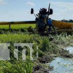 Foto: Accidente con avioneta en Malacatoya, Granada / TN8