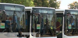Foto: Buses Yutong, de China, han sido una bendición para el transporte en Nicaragua / TN8