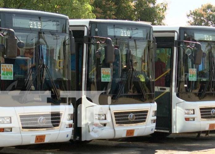 Foto: Buses Yutong, de China, han sido una bendición para el transporte en Nicaragua / TN8