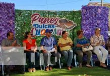 Foto: Festival de dulces en Carazo / TN8