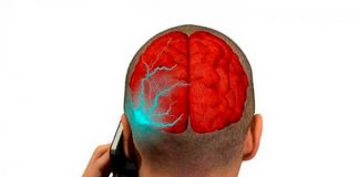 Aclaran si el uso frecuente del móvil causa tumores cerebrales