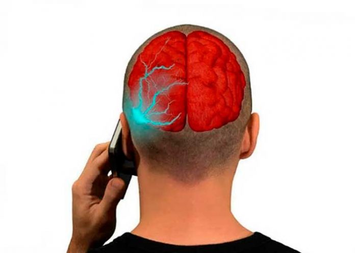 cel1 Aclaran si el uso frecuente del móvil causa tumores cerebrales