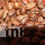 Cooperativa de café en Madriz obtiene certificación para exportar hacia China Foto: Cooperativa de Madriz se certifica para exportar a China / TN8