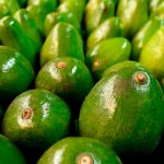 Encuentran aguacates con cocaína en Colombia