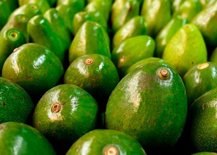colpombia3 Encuentran aguacates con cocaína en Colombia