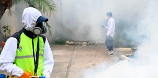 Guatemala declara alerta por dengue