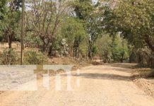 Construirán más de 2.5 kilómetros de adoquinado en zona sur de Nandaime Foto: Mejoramiento vial en Nandaime / TN8