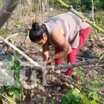 Patio Saludable en Diriá: ejemplo de diversificación en todo tipo de cultivos Foto: Patio Saludable desde Diriá, en Granada / TN8