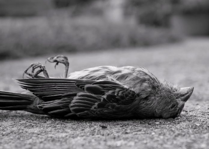 El uso de la computadora podría causar disfunción eréctil