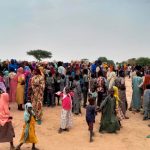 137 niños secuestrados en Nigeria fueron «rescatados sanos y salvos» Liberan a 137 niños tras dos semanas de cautiverio en Nigeria