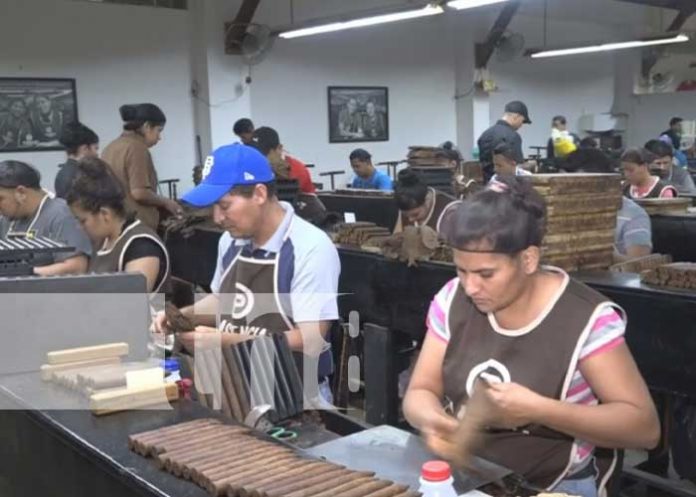 Foto: Comercio de Estelí se beneficia con el TLC con China / TN8